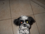 baby-hair-cut-001