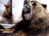 norn-bear
