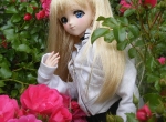 moe4