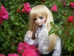 moe5