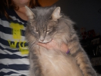 snas-camera-2012-013