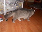 snas-camera-2012-020