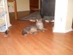 snas-camera-2012-021
