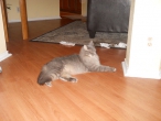 snas-camera-2012-022
