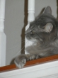 oliver-2012-006