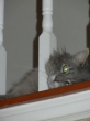 oliver-2012-007