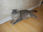dscn1285