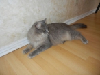 dscn1286