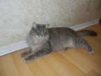 dscn1287