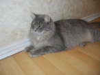dscn1296