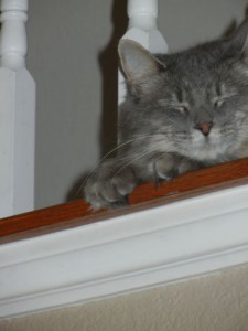 Oliver-2012-005
