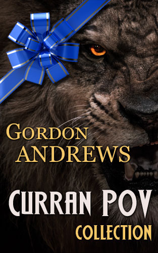 Book Cover: CURRAN POV
