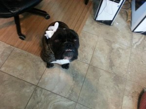 Sookie