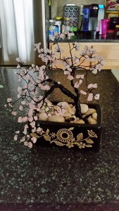 Sakura Trees, First Try