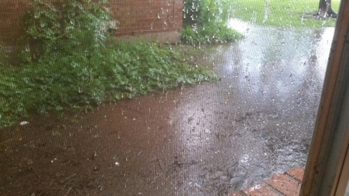 The dark stuff is water. About 6-7 inches in the deepest part by the fence.