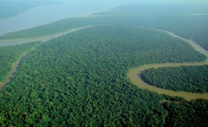 Image courtesy of Wikipedia, https://en.wikipedia.org/wiki/Amazon_River